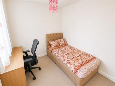Picture 19